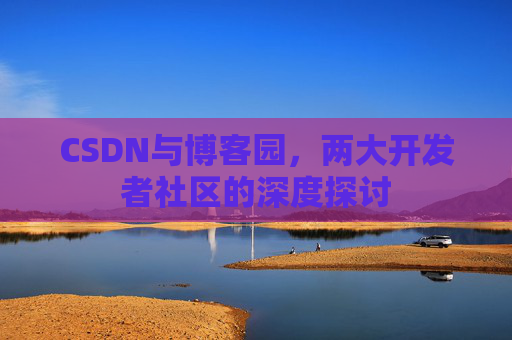 CSDN与博客园，两大开发者社区的深度探讨